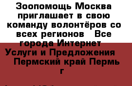 Зоопомощь.Москва приглашает в свою команду волонтёров со всех регионов - Все города Интернет » Услуги и Предложения   . Пермский край,Пермь г.